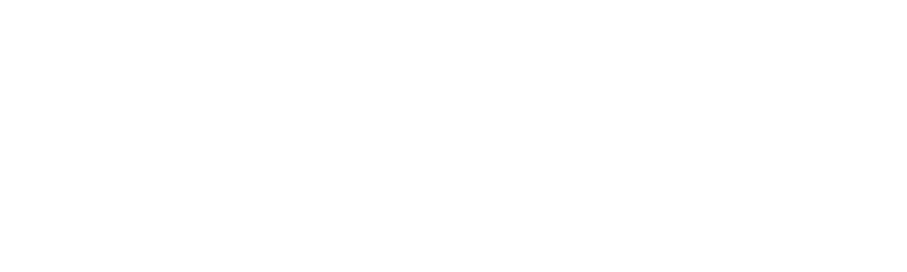Pulsaclean